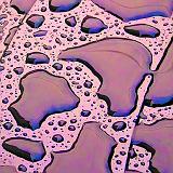 Wet Abstract_DSCF02953